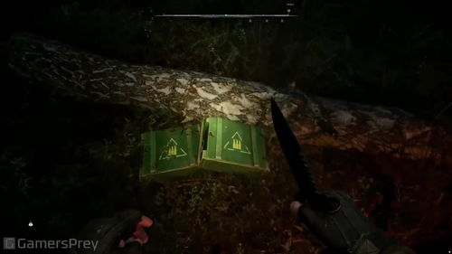 《潜行者2》屋顶藏宝点揭秘：切尔诺贝利之心宝藏位置揭晓