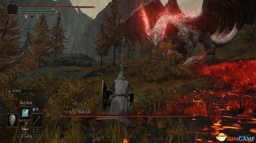 艾尔登法环古龙瑟涅桑克斯攻略：高效打法技巧解析