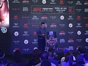 S13搏击家人玩法攻略：深度解析搏击家族运营新策略