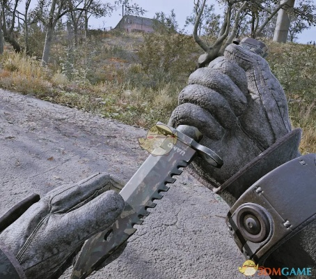 《潜行者2》武器耐久MOD免费下载，畅玩无忧新体验