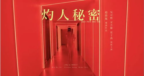 破解杜加记者储藏点：开启神秘铁门新攻略