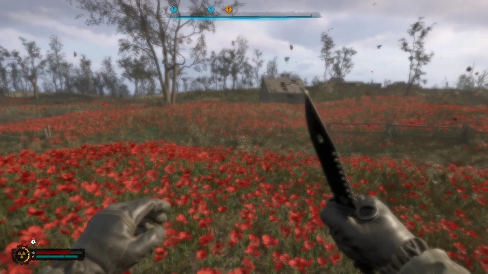 切尔诺贝利之心：探索罂粟田圣像新奥秘