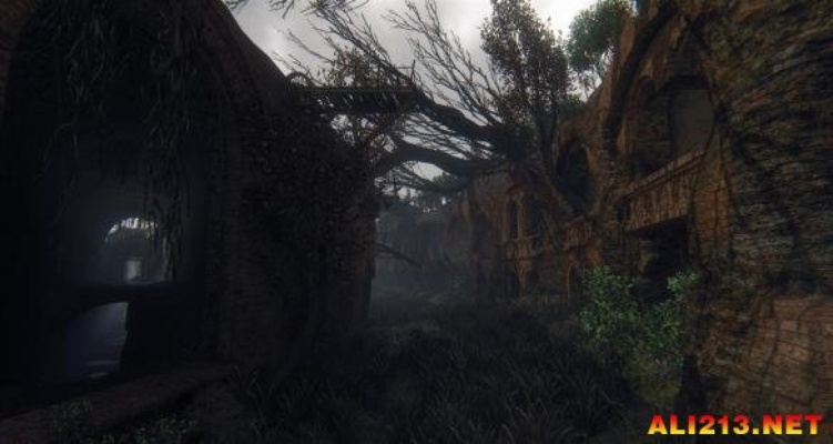 焚毁森林秘境探秘：揭秘《潜行者2》全新探险之旅