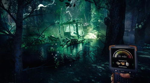 切尔诺贝利之心雪花超自然现踪，揭秘神秘形成地与惊人效应