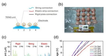 欧洛伦培养攻略：高效微光角菌采集路线解析，掌握新技巧