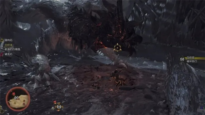 白炽龙速刷攻略，高效狩猎新体验