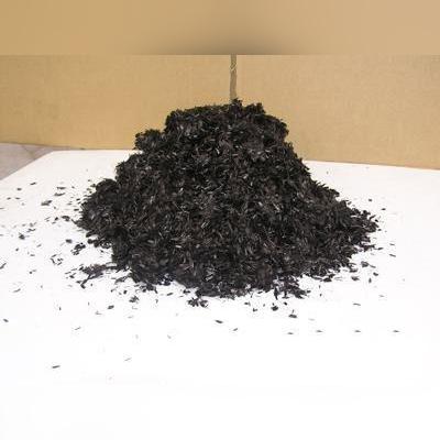 《天外世界2》飞船宠物攻略：轻松解锁独特宠物养成秘籍