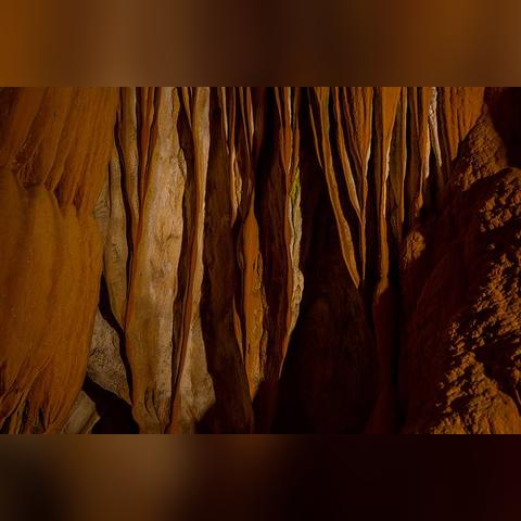 《天外世界2》升级攻略：解锁更多技能点，解锁新境界