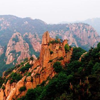 翠竹林秘境探秘：悟空传奇新篇章解锁