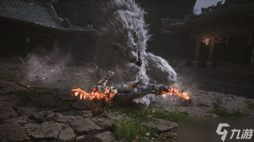 悟空探秘挟魂崖，绝境求生新篇章