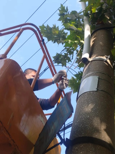 花愿镇路灯维修攻略：揭秘损坏灯具具体位置