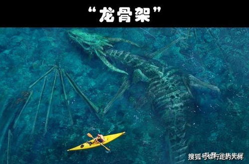 琥珀岛深度解析：揭秘沉浸式玩法，探索神秘岛屿魅力