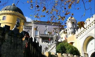 欧洲风情尽收眼底，《模拟农场25》欧地区全新体验来袭