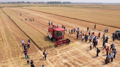 农场传奇瓦尔特老爷爷：智慧农业新篇章