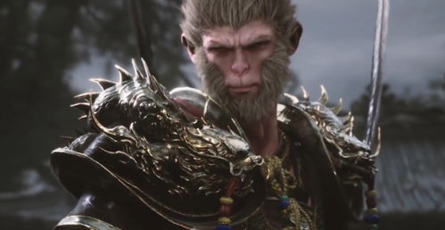 《黑神话悟空》毛毛流攻略：深度解析装备搭配与全新玩法技巧