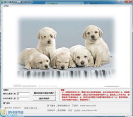 《野狗子》苛压战线攻略：神龛位置调整秘籍大公开