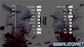 《野狗子》咒封力解记忆碎片高效收集技巧解析