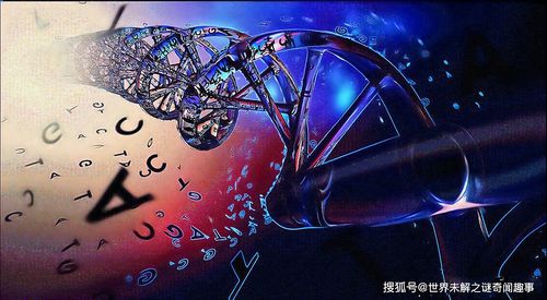 七孕女警举重夺冠：强者基因孕育未来之星