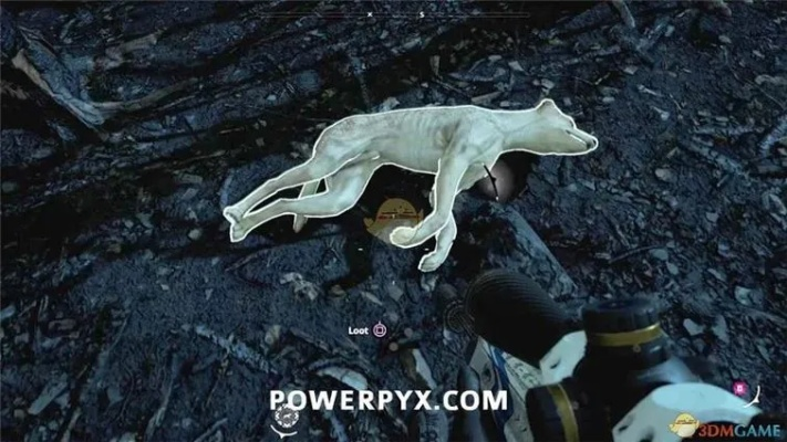 《野狗子》探秘：深度解析背景故事与全新玩法攻略