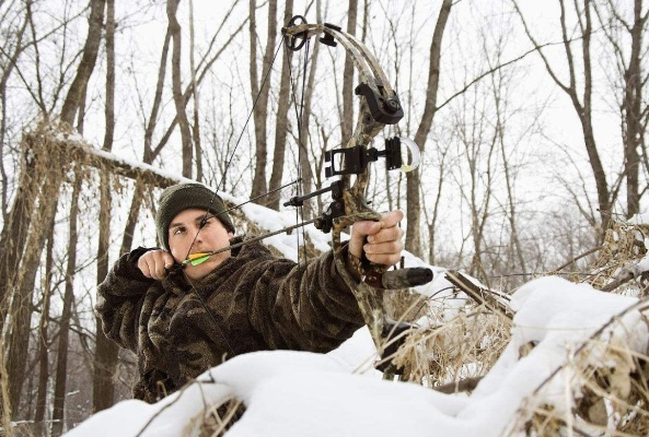 《荒野狩猎秘籍：高效技巧深度解析》