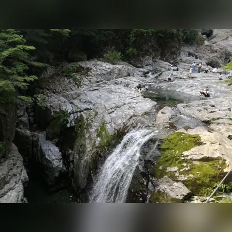 《怪物猎人荒野》试玩版营地攻略：揭秘安全避难秘境