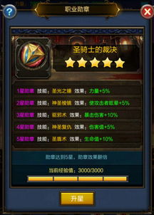 风之痕迹骑士圣者勋章掉落攻略解析，深度揭秘新价值