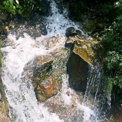 荒野狩猎新奥秘：深度解析《怪物猎人》辟兽技巧与价值