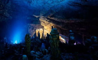 王城礼坛铁笼篝火攻略：解锁神秘新元素解密技巧