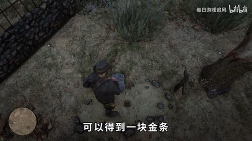 《荒野大镖客》宝藏猎人攻略，揭秘宝藏精准位置技巧