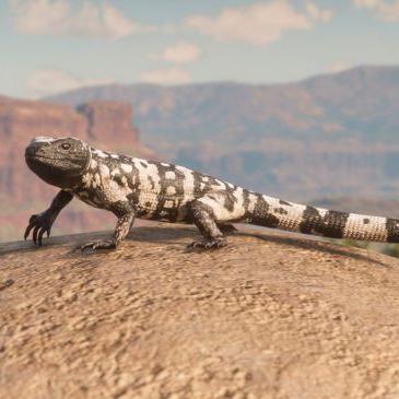 《荒野大镖客》剥皮新法，高效技巧一学就会