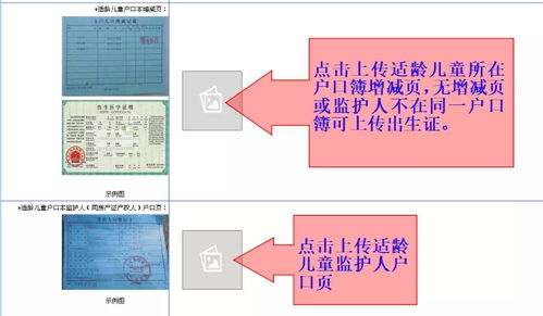 圆环路标攻略揭秘：高效收集指南全解析