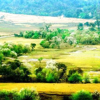 荒野狩猎秘境全攻略，怪物猎人荒野通关秘籍大公开