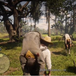 《荒野大镖客救赎》全剧情攻略揭秘：深度解析新视角