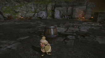 黑炎涌油谷探秘：荒野新篇章，狩猎新价值