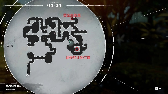 《暗喻幻想》圆环路标迷宫攻略：全图解析与深度探索