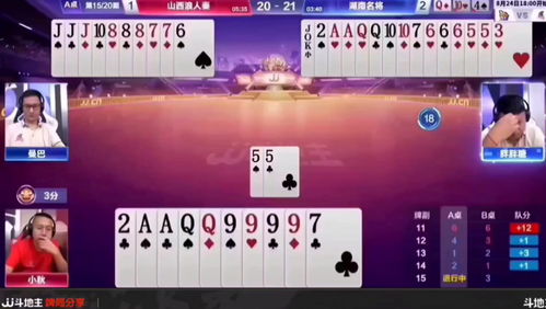 《骗子酒吧》选牌技巧揭秘：高效策略新体验