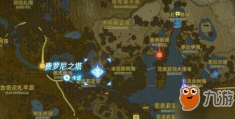 塞尔达传说心之碎片全搜集攻略：湿地费罗尼智慧秘境探秘指南