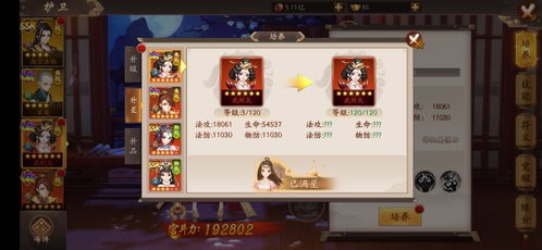 《暗喻幻想》护卫骑士深度解析：揭秘属性强化之道