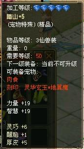 《暗喻幻想》巫师属性深度解析：揭秘巫师强度核心价值