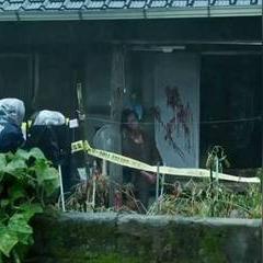 《暗喻幻想》6月深度揭秘：独家日程攻略大放送