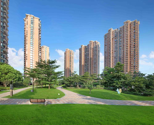 《暗喻幻想》攻略揭秘：支线全支持者图文攻略深度解析