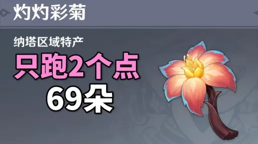 《原神》突破必备！灼灼彩菊高效采集攻略解析新技巧