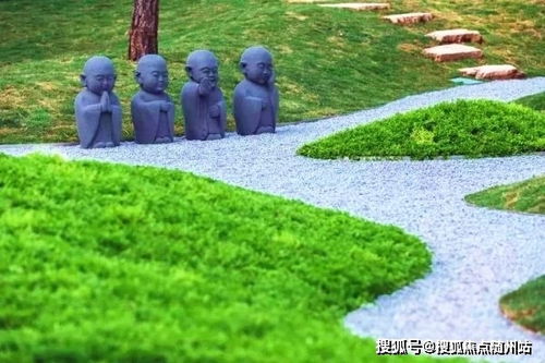 柏妮思突破核心材料深度解析，全新价值攻略揭秘