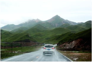 沙原秘境探秘：天堑荒野生态新篇章