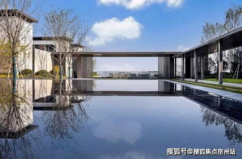 《缄默祸运》深度解析：揭秘全新实况攻略与价值策略