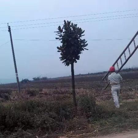 天龙八部sf发布网服藏满坑？老炮3招筛出真福利服