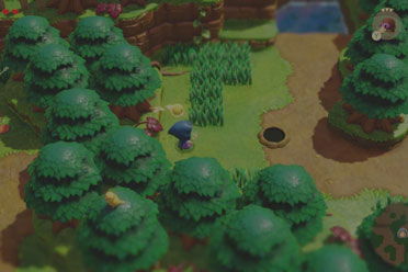 米诺米诺森林深度解密：探索《塞尔达传说智慧的再现》新境界