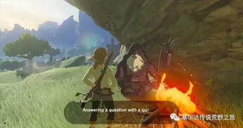 破解《塞尔达传说》费罗尼神殿谜题攻略，解锁智慧新篇章