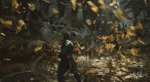 《黑神话悟空》核心配装攻略，解锁全新战斗价值秘籍