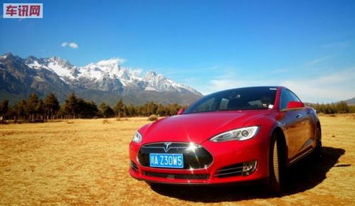 基尼奇一图流攻略，深度解析全新配装技巧